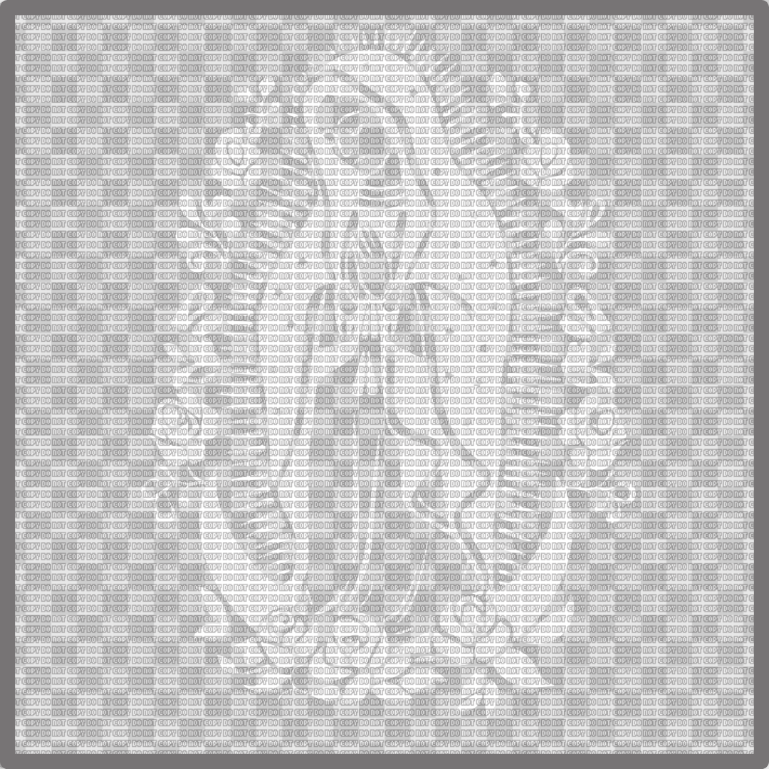 VIRGEN DE GUADALUPE DTF TRANSFER